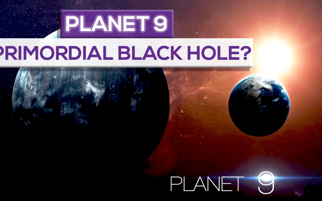 Is planet 9 a primordial black hole?